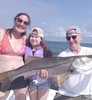 Snook action in Homosassa