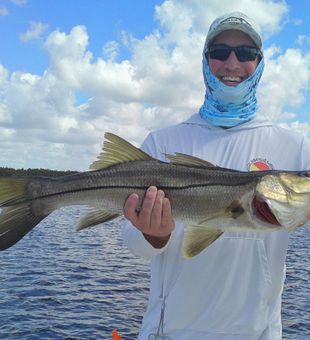 Powerful Snook fishing action inshore.