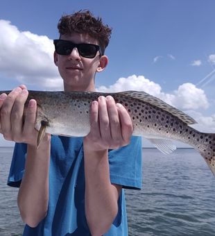Big trout in Homosassa today!