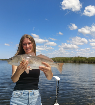 Beautiful Weeki Wachee redfish makes for perfect fishing memories!