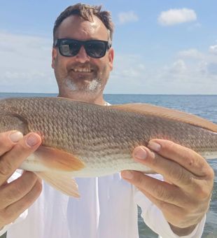 Impressive inshore redfish catch