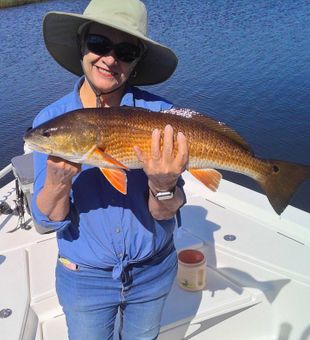Beautiful Weeki Wachee redfish makes for perfect fishing day!