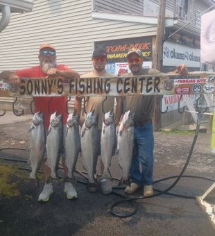 Six beautiful Chinook salmon from Pulaski NY waters!