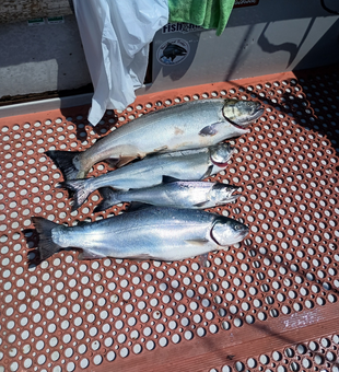 Reserve your spot today for guided Trout and Salmon fishing charters in New York State.