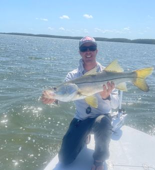 Snook on the line, hold tight!