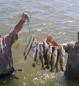 Outstanding speckled trout haul from Port O'Connor waters!