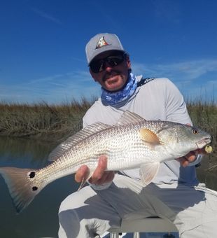 Redfish in St. Augustine, FL