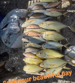Limit out with Key Largo fishing charters