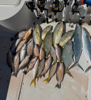 Had this on my boat for awhile. Limit it out!