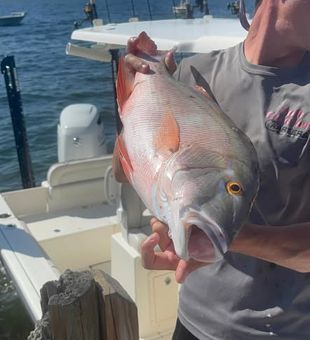 Head offshore in Key Largo, Florida and experience world-class deep sea fishing in the heart of the Florida Keys.