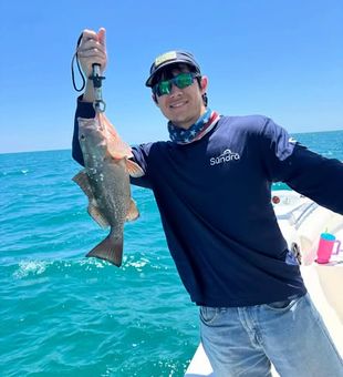 Venture into the blue waters off Key Largo and enjoy an offshore fishing experience surrounded by stunning tropical scenery.
