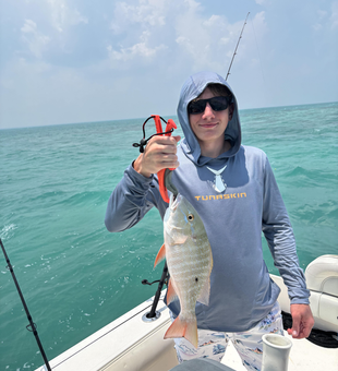 Reeling in paradise: Mutton Snapper action in Key Largo!