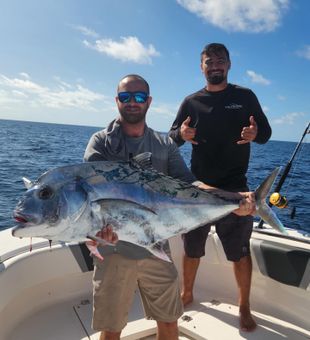 Massive giant trevally offshore Gulf fishing catch