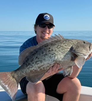 Solid black grouper offshore Gulf of Mexico catch