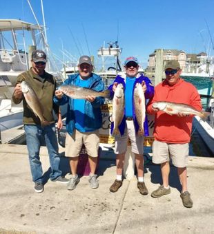 Redfish in Hatteras, North Carolina