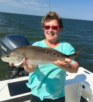 Redfish in Hatteras, North Carolina