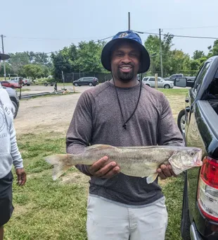 Fresh catch success in Detroit waters!
