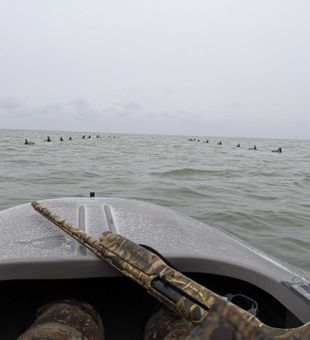 Waterfowl hunting opportunity on Detroit waters.