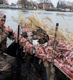 Perfect duck hunting setup ready for action in Detroit.