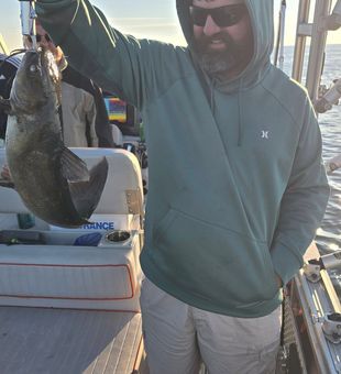 Fresh catch success in Whitehall MI waters!