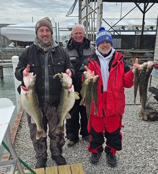 Great walleye action in Whitehall MI!
