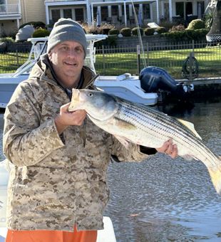 Strong striped bass catch on a Blue Point NY fishing charter
