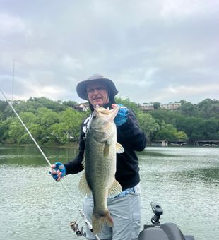 Personal Best… 7 lb largemouth on Lake Austin