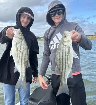 Discover the magic of White Bass fishing!