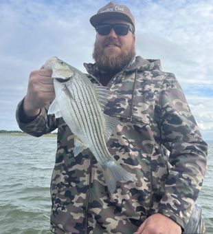 Explore the ultimate White Bass fishing experience