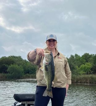 Summer fishing for bass Austin