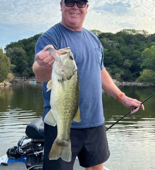 Catching bass on Lake Travis, Austin
