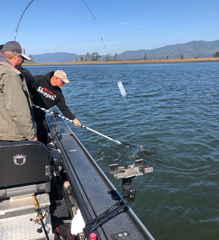 Explore Oregon's fishing paradise!