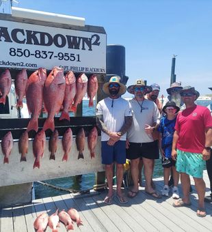 Destin FL, Red Bounty