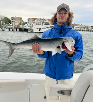 A solid catch on the Manasquan River