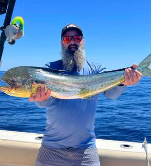 Mahi-mahi fishing in the afternoon