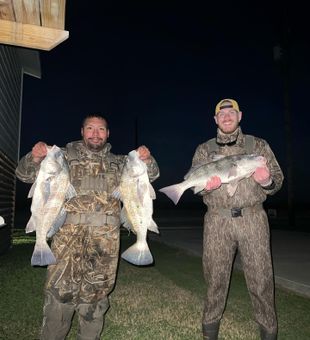 Matagorda Bay Fishing Striped Bass Trophy