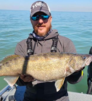 Walleye dreams, Lake Erie style