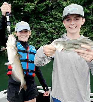Channel Catfish and Striped Bass action in Acworth GA!