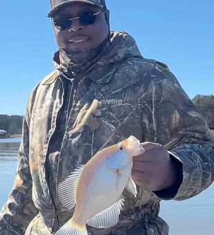 Weekend fishing getaway to Lake Allatoona.