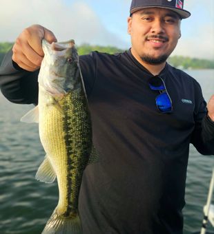 Reel in Big Bass at Lake Allatoona