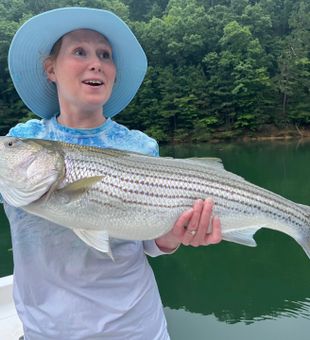 Striper success on beautiful Lake Allatoona today