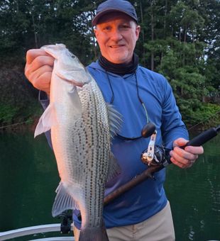 Nice striped bass catch in Acworth GA waters!