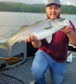 Striper Fishing Fun on Georgia’s Lake Allatoona