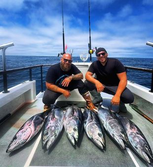 Epic tuna haul!