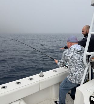 Strong offshore fishing rod bend action