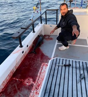 Intense bluefin takedown!