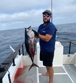 Hard-fighting tuna action!