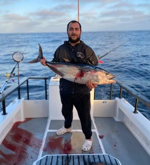 Powerful tuna bite!