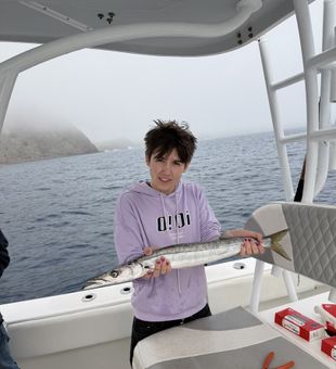 Fast barracuda catch offshore fishing success
