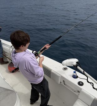 Focused offshore fishing rod bend action